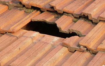 roof repair Bishops Green